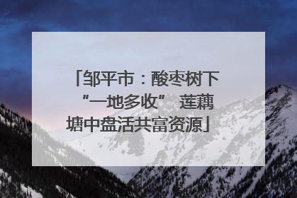 邹平市：酸枣树下“一地多收” 莲藕塘中盘活共富资源