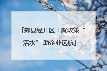 郏县经开区：聚政策“活水” 助企业远航