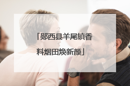 郧西县羊尾镇香料烟田焕新颜