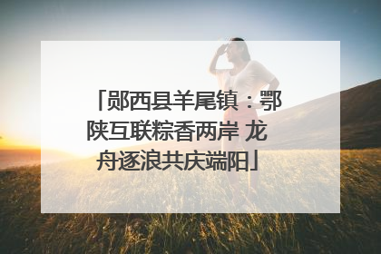 郧西县羊尾镇：鄂陕互联粽香两岸 龙舟逐浪共庆端阳