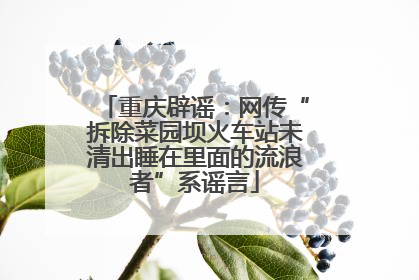 重庆辟谣：网传“拆除菜园坝火车站未清出睡在里面的流浪者”系谣言