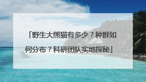 野生大熊猫有多少？种群如何分布？科研团队实地探秘
