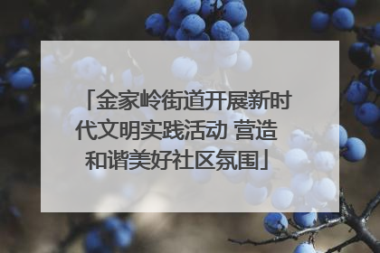 金家岭街道开展新时代文明实践活动 营造和谐美好社区氛围