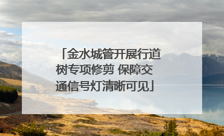 金水城管开展行道树专项修剪 保障交通信号灯清晰可见