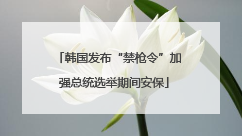 韩国发布“禁枪令”加强总统选举期间安保