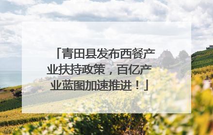青田县发布西餐产业扶持政策，百亿产业蓝图加速推进！