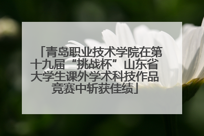 青岛职业技术学院在第十九届“挑战杯”山东省大学生课外学术科技作品竞赛中斩获佳绩