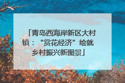 青岛西海岸新区大村镇：“赏花经济”绘就乡村振兴新图景