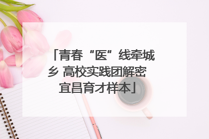青春“医”线牵城乡 高校实践团解密宜昌育才样本