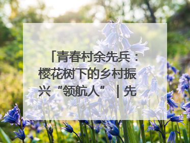 青春村余先兵：樱花树下的乡村振兴“领航人”｜先锋引领⑪