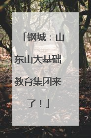 钢城：山东山大基础教育集团来了！