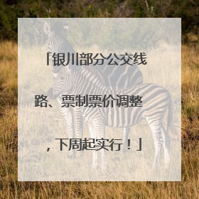 银川部分公交线路、票制票价调整，下周起实行！