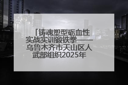 铸魂塑型砺血性 实战实训锻铁拳——乌鲁木齐市天山区人武部组织2025年度民兵集中轮训