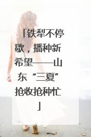 铁犁不停歇，播种新希望——山东“三夏”抢收抢种忙
