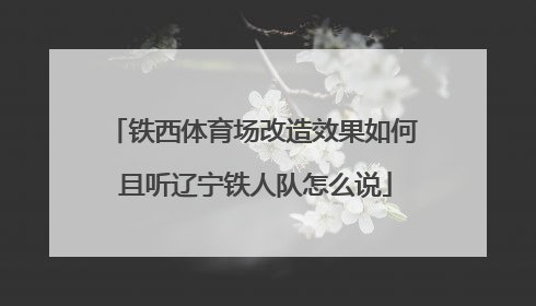 铁西体育场改造效果如何 且听辽宁铁人队怎么说