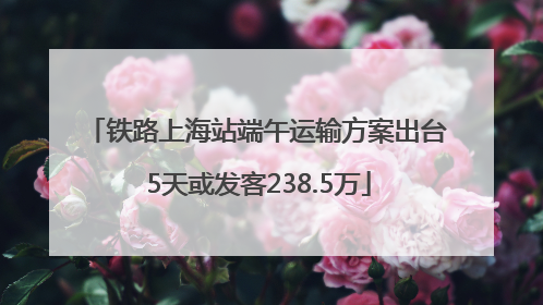 铁路上海站端午运输方案出台 5天或发客238.5万