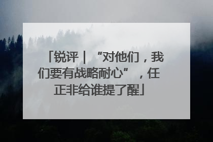 锐评｜“对他们，我们要有战略耐心”，任正非给谁提了醒