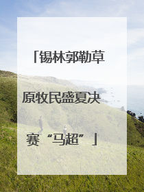 锡林郭勒草原牧民盛夏决赛“马超”