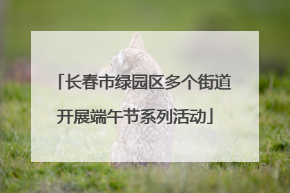 长春市绿园区多个街道开展端午节系列活动