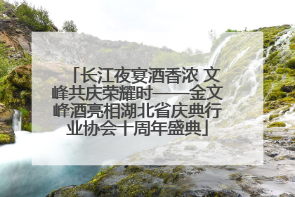 长江夜宴酒香浓 文峰共庆荣耀时——金文峰酒亮相湖北省庆典行业协会十周年盛典