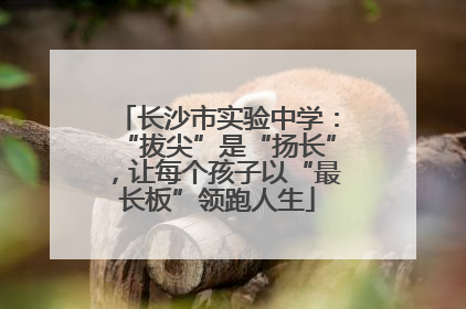 长沙市实验中学：“拔尖”是“扬长”，让每个孩子以“最长板”领跑人生