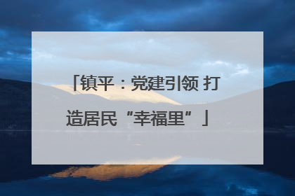 镇平：党建引领 打造居民“幸福里”