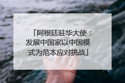 阿根廷驻华大使：发展中国家以中国模式为范本应对挑战