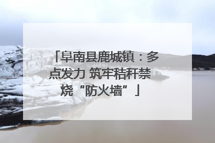 阜南县鹿城镇：多点发力 筑牢秸秆禁烧“防火墙”