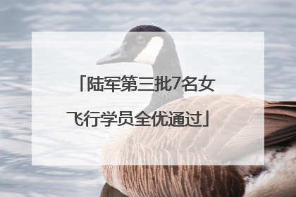 陆军第三批7名女飞行学员全优通过