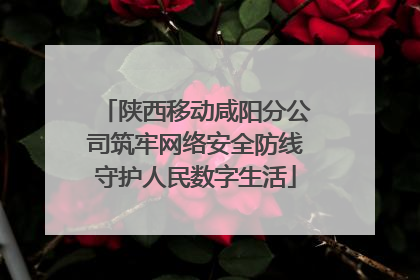 陕西移动咸阳分公司筑牢网络安全防线守护人民数字生活