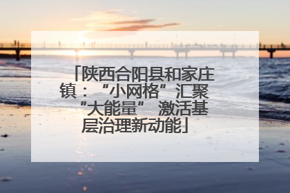 陕西合阳县和家庄镇：“小网格”汇聚“大能量” 激活基层治理新动能