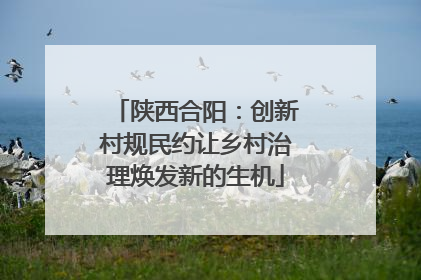 陕西合阳：创新村规民约让乡村治理焕发新的生机