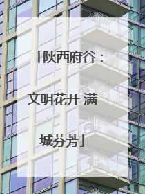 陕西府谷：文明花开 满城芬芳