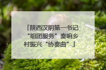 陕西汉阴第一书记“组团服务”奏响乡村振兴“协奏曲”