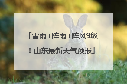 雷雨+阵雨+阵风9级！山东最新天气预报