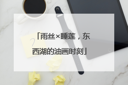雨丝×睡莲，东西湖的油画时刻