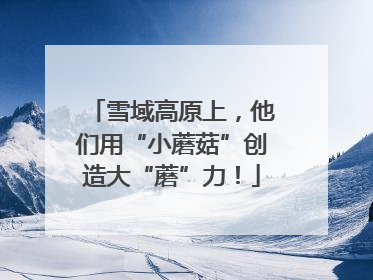 雪域高原上，他们用“小蘑菇”创造大“蘑”力！