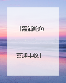 霞浦鲍鱼喜迎丰收