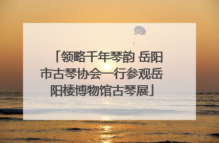 领略千年琴韵 岳阳市古琴协会一行参观岳阳楼博物馆古琴展