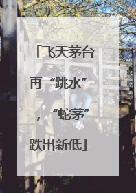 飞天茅台再“跳水”，“蛇茅”跌出新低