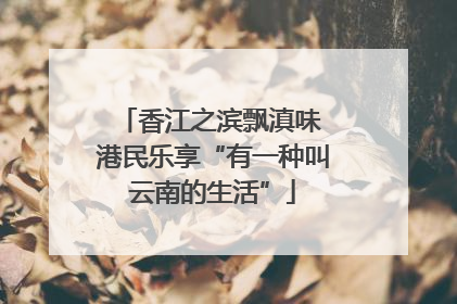 香江之滨飘滇味 港民乐享“有一种叫云南的生活”