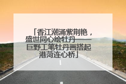 香江潮涌紫荆艳，盛世同心绘牡丹——巨野工笔牡丹画搭起港菏连心桥