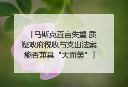 马斯克直言失望 质疑政府税收与支出法案能否兼具“大而美”