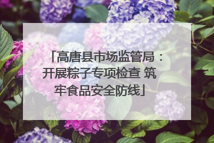 高唐县市场监管局：开展粽子专项检查 筑牢食品安全防线