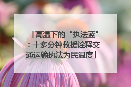 高温下的“执法蓝”：十多分钟救援诠释交通运输执法为民温度