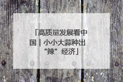 高质量发展看中国｜小小大蒜种出“辣”经济