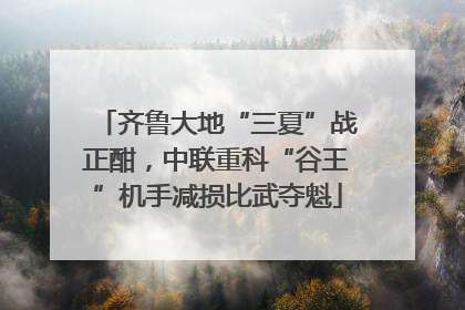 齐鲁大地“三夏”战正酣，中联重科“谷王”机手减损比武夺魁