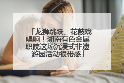 龙狮跳跃、花鼓戏唱响！湖南有色金属职院这场沉浸式非遗游园活动很带感