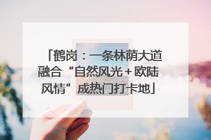 鹤岗：一条林荫大道融合“自然风光＋欧陆风情”成热门打卡地