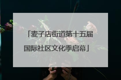 麦子店街道第十五届国际社区文化季启幕